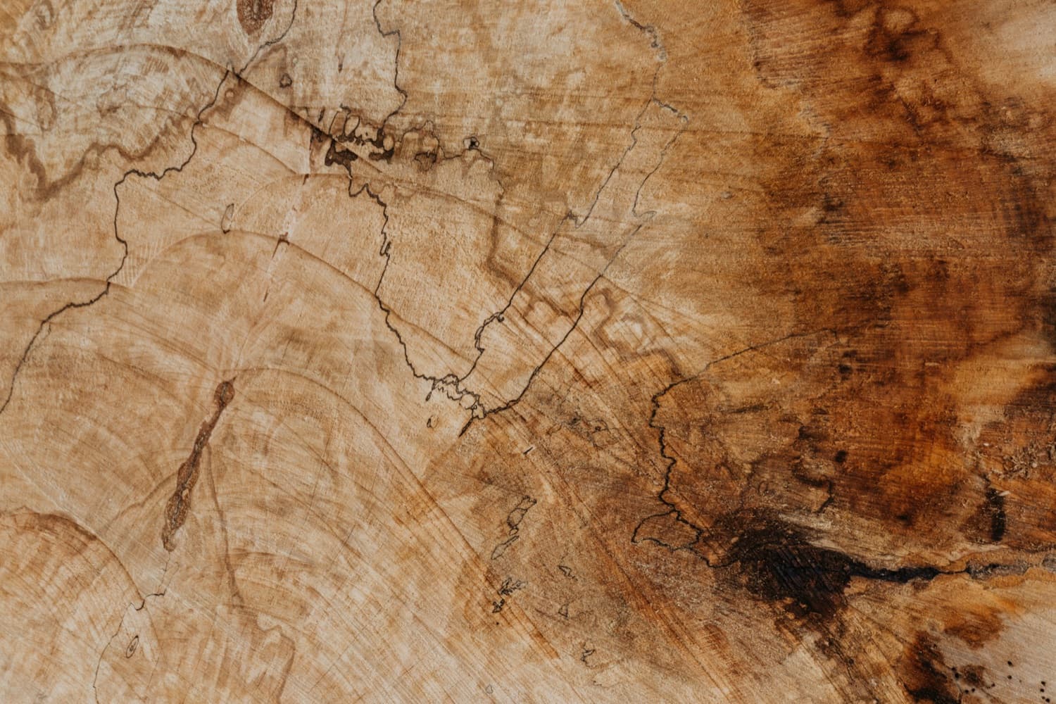 히어로 슬라이드 1