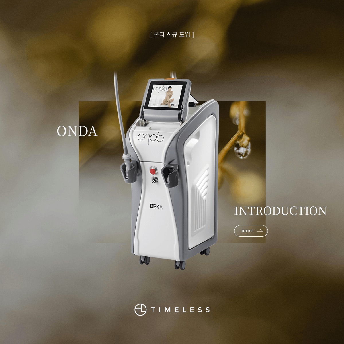 온다 리프팅 신규 도입 안내